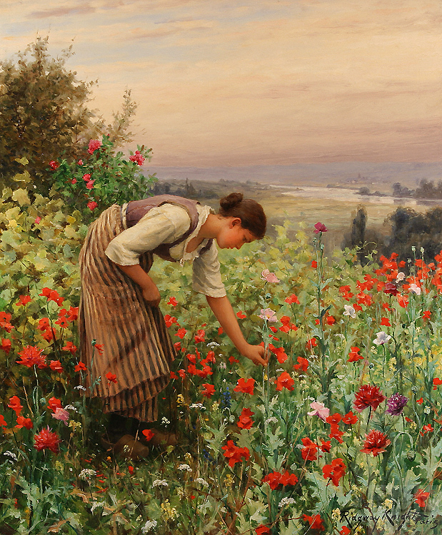 Daniel Ridgeway Knight Girl Picking Poppies